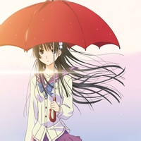 花间雨