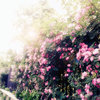 节拍大师