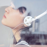 柳岸风轻