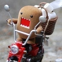 梦之守望者