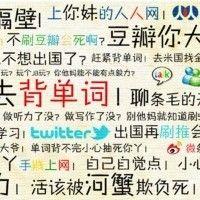 甜豆丁