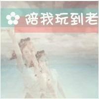 狡猾的狐狸先生