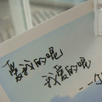 爱唱歌的企鹅