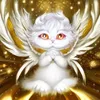 流星轨迹