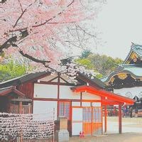 跳跳袋鼠