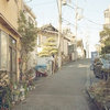 火凤翔