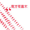 风一样的人