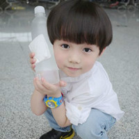 呆头鹅