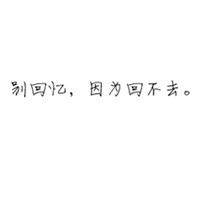 甜心海豚