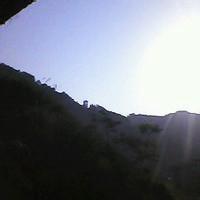 羽海