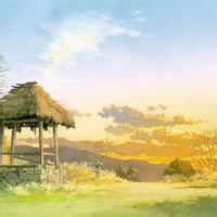 代码巫师