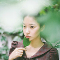 豹子速