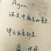 百合清韵