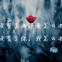 纳米守望者