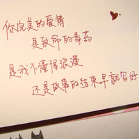 机警的兔子