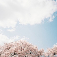 永恒暗蚀