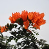 深渊漫游者