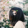 算法舞者