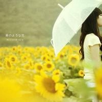 山雾轻