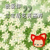软萌泡泡