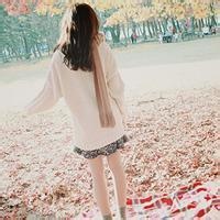 幻灭之翼